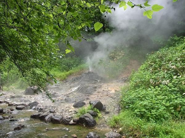 Jigokudani Walking Path-大崎市必去景点