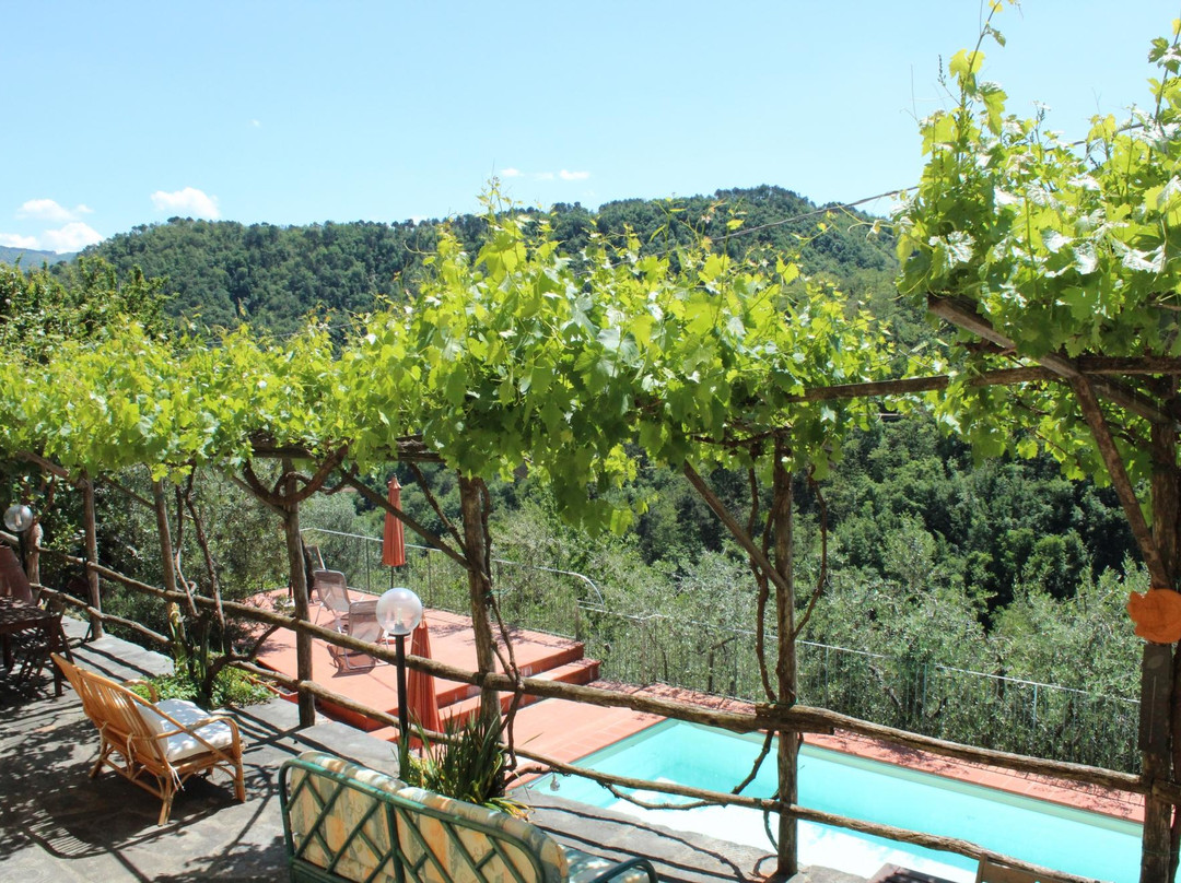 Agriturismo Castiglioncello