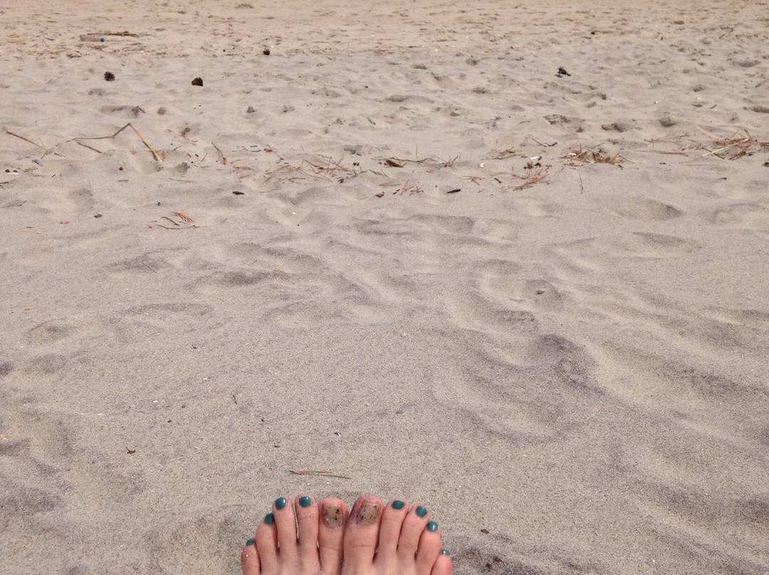 Ocean Grove Beach-Ocean Grove必去景点