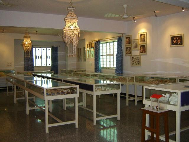 Alice Garg National Seashells Museum-斋蒲尔必去景点