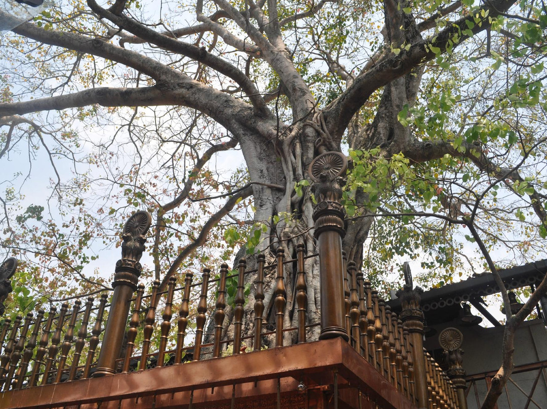 拉玛耶佛寺-科伦坡必去景点