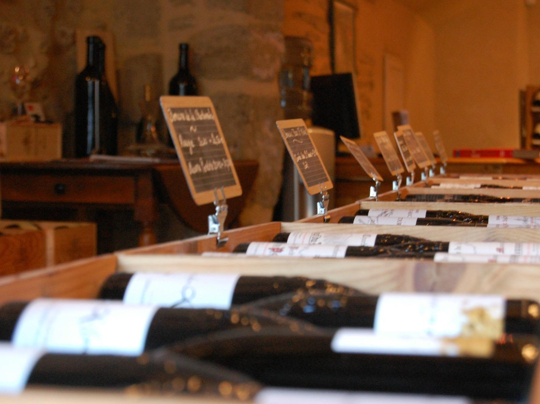 Vinadea - Maison des Vins et Vinotheque-教皇新堡必去景点