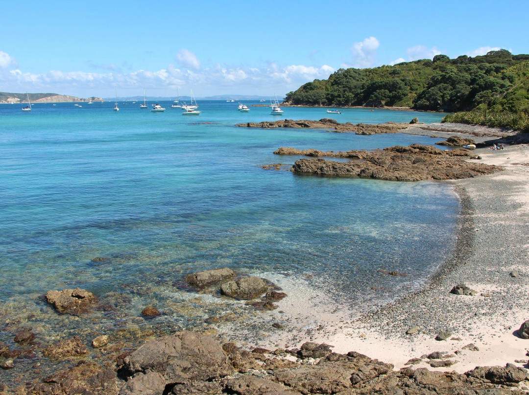 蒂利蒂利马唐伊岛-奥克兰中心地区必去景点