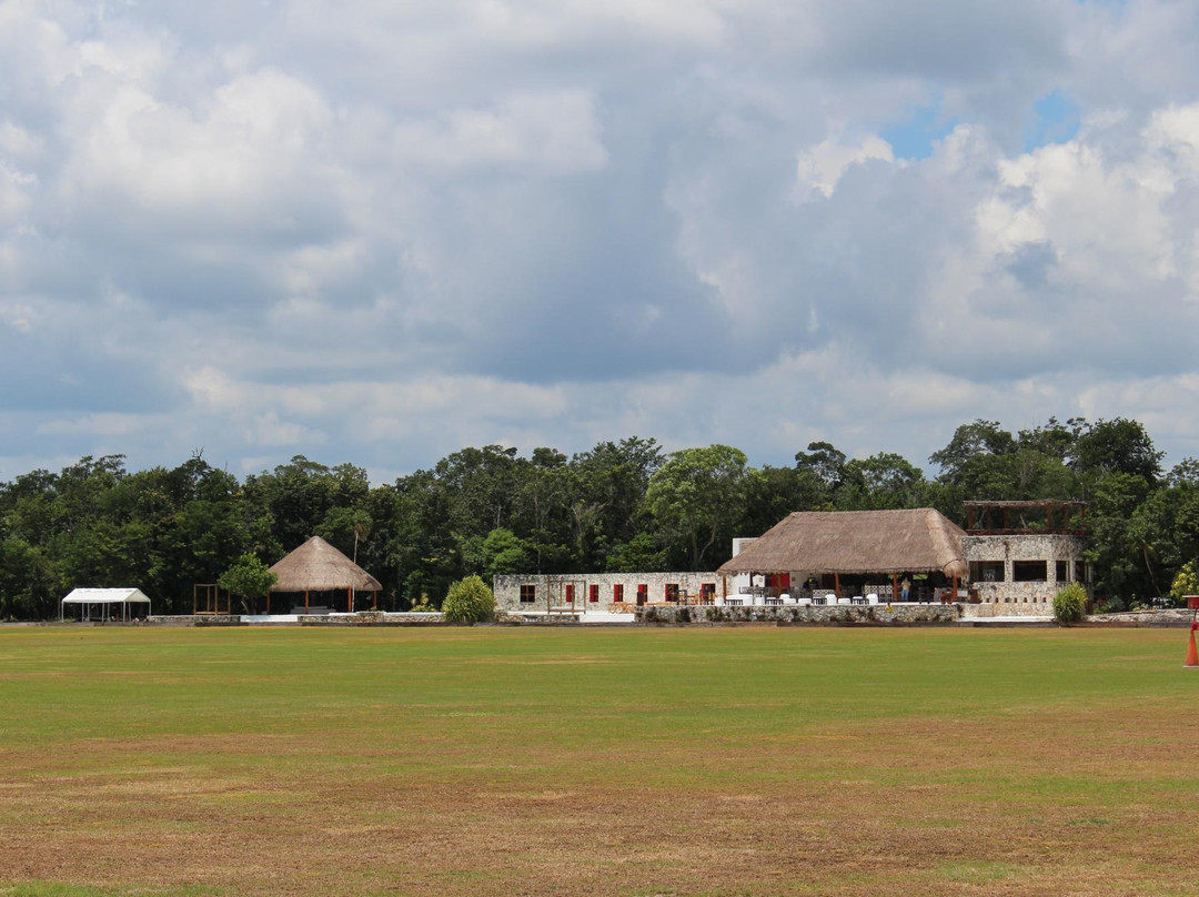 El Rey Polo Country Club-从莫雷洛斯港必去景点