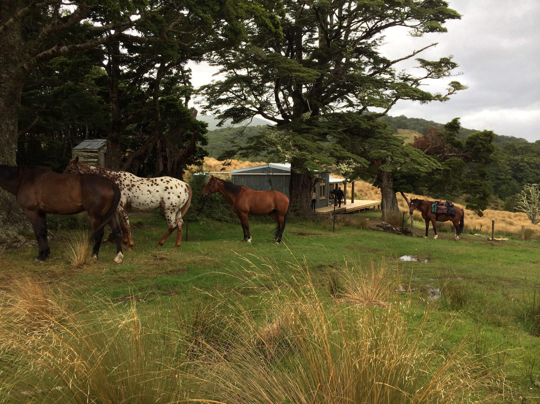 Beaumont High Country Experience景点图片