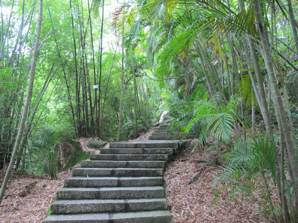 厦门园林植物园景点图片
