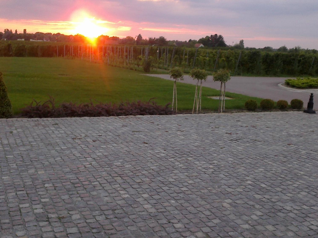 Winery Zvonko Bogdan, Subotica景点图片