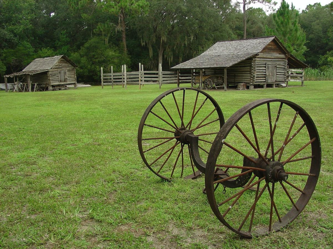 Forest Capital Musem-Perry必去景点
