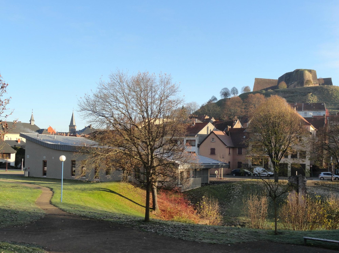 Office de Tourisme du Pays de Bitche景点图片