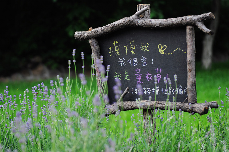 北京云峰山童话树屋主图