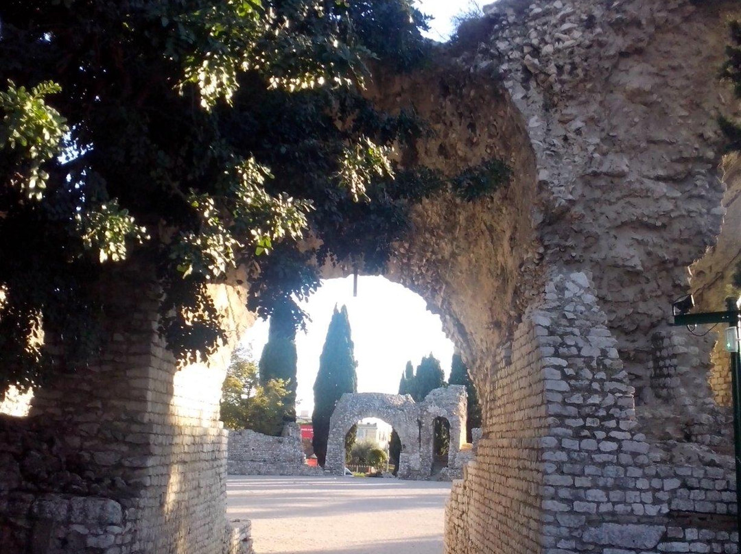 Parc des Arènes de Cimiez-尼斯必去景点