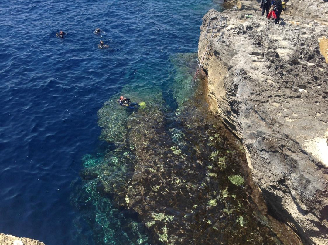 Moby Dives-Xlendi必去景点