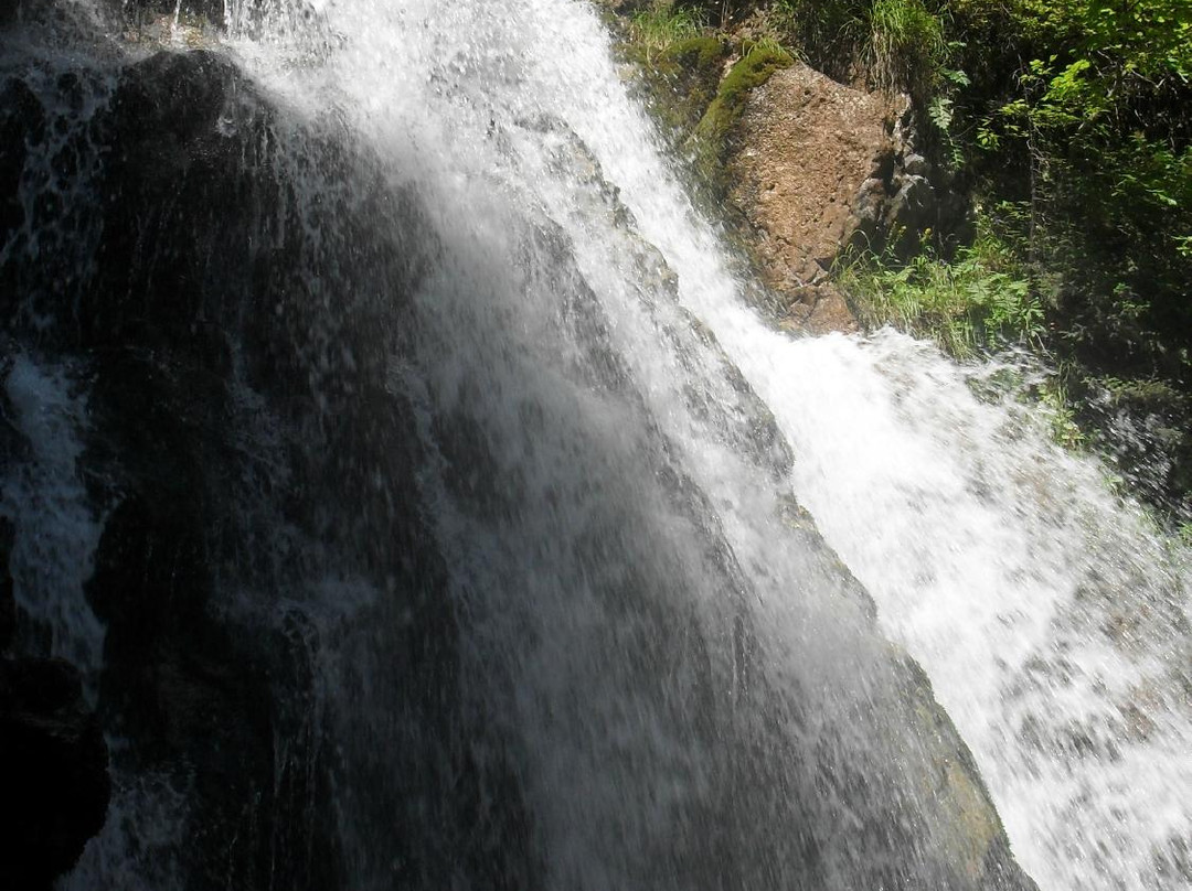 Cascada Urlatoarea景点图片