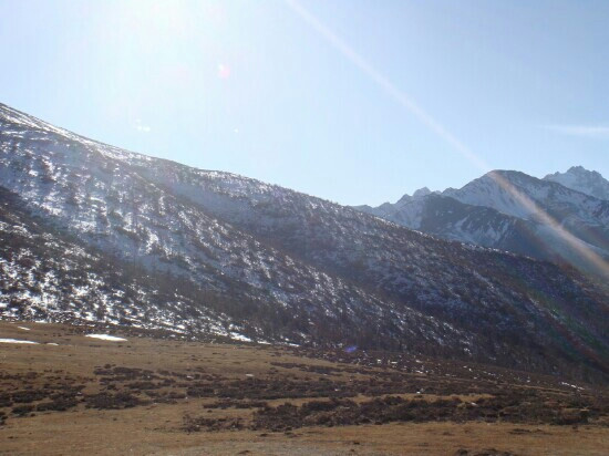 白马雪山国家级自然保护区景点图片