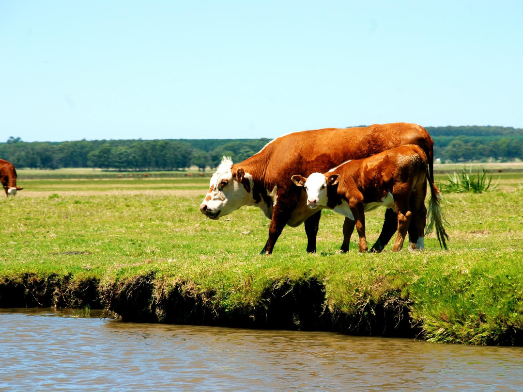 Monte de Ombúes-Valizas必去景点