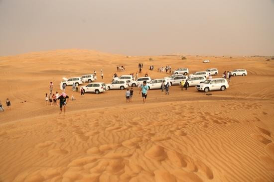 Arabian Nights Tours LLC景点图片