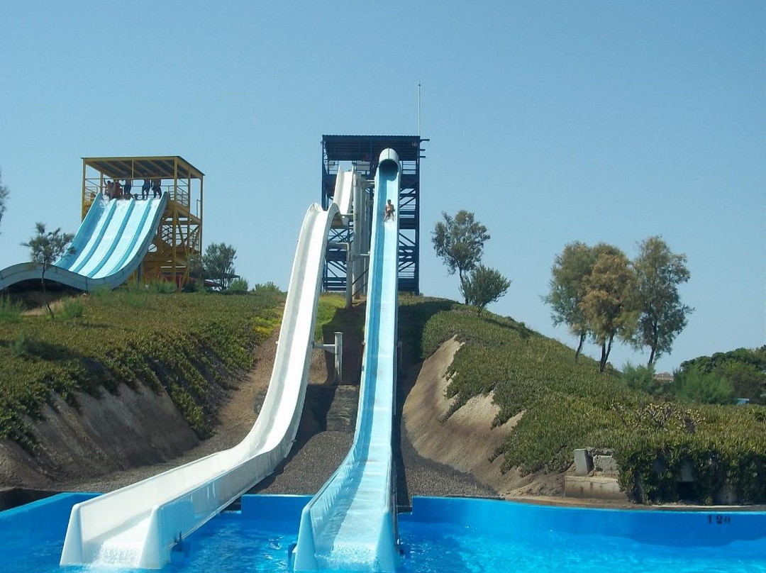 Mario Park
