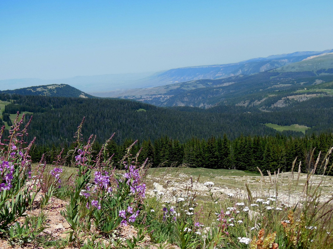 Bighorn National Forest-谢里登必去景点