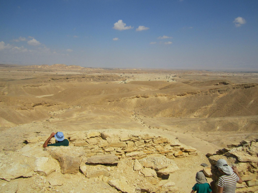 Desert Trails - Day Tours景点图片