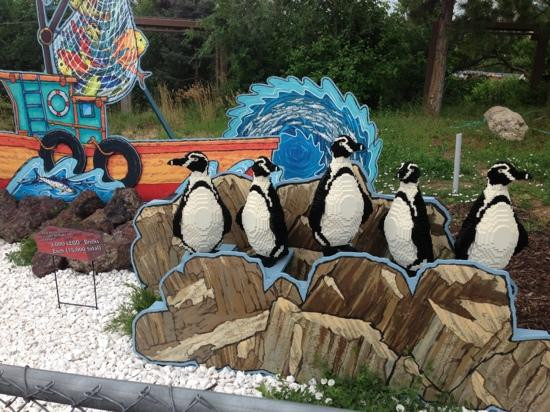 犹他州霍格尔动物园-盐湖城必去景点