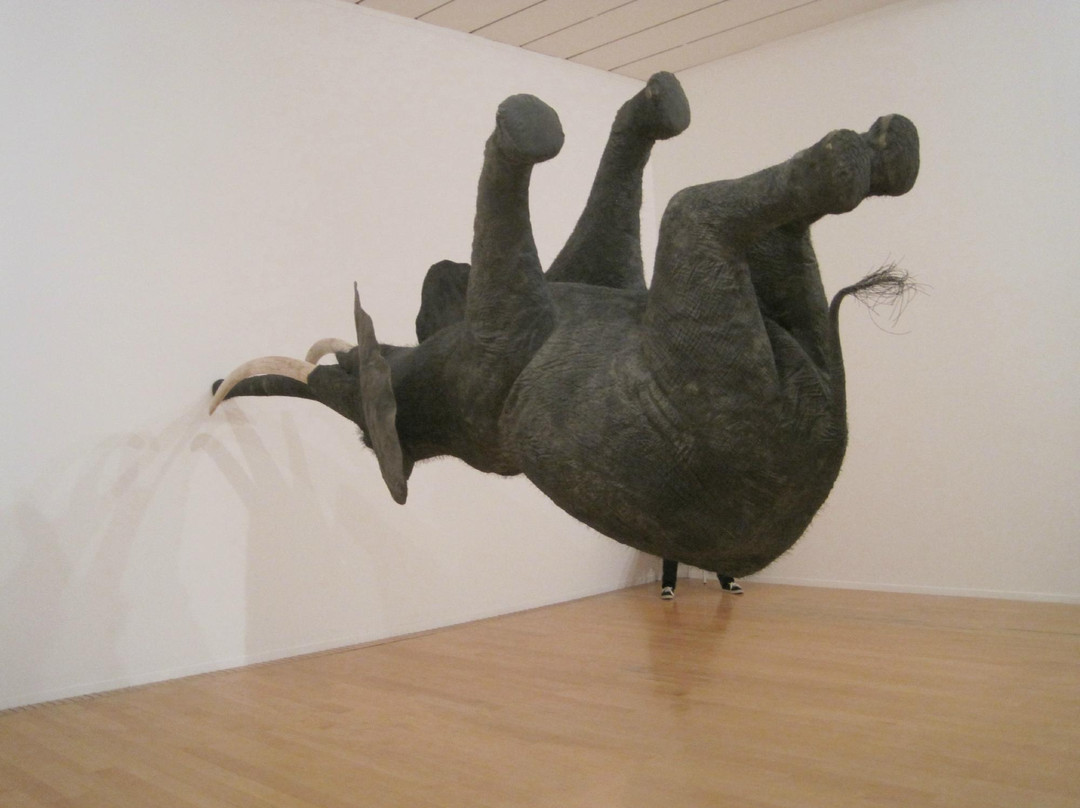 Musée D'art Contemporain De Lyon-里昂必去景点