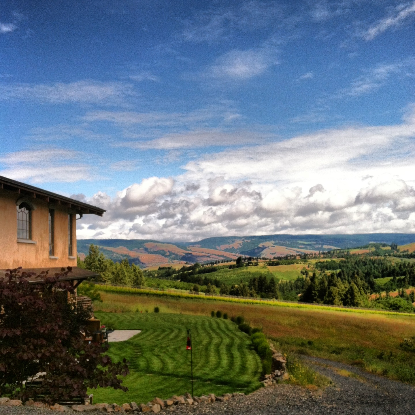 Three Sleeps Vineyard B & B-酒店景观