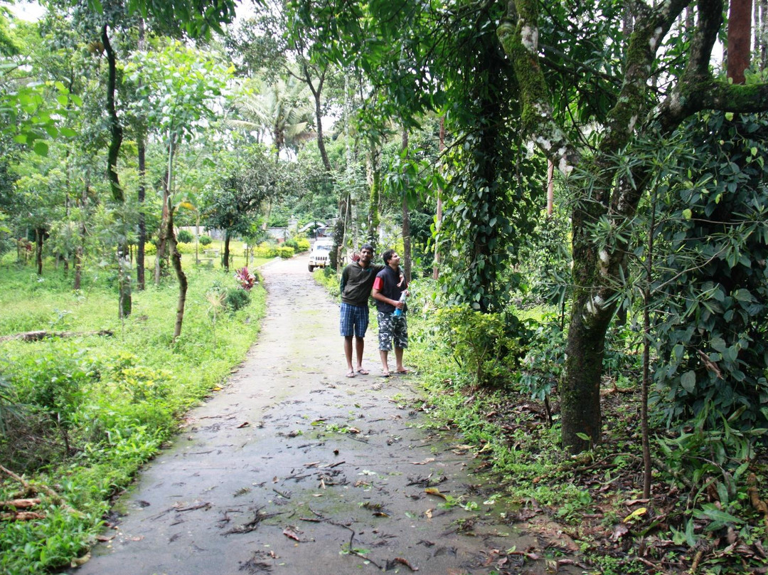 Karthik Estate Cottages主图