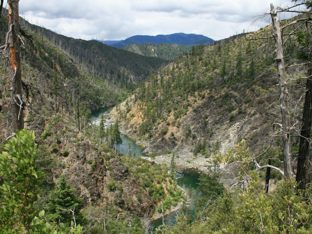 Flery Manor B&B主图