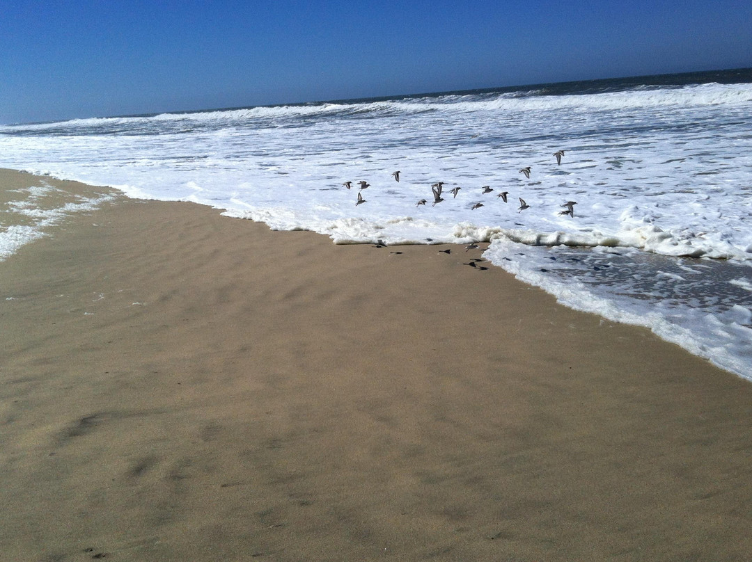 Half Moon Bay Coastside Trail-半月湾必去景点
