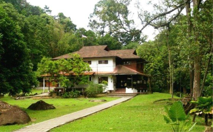 Jungle Lodge Alang Sedayu