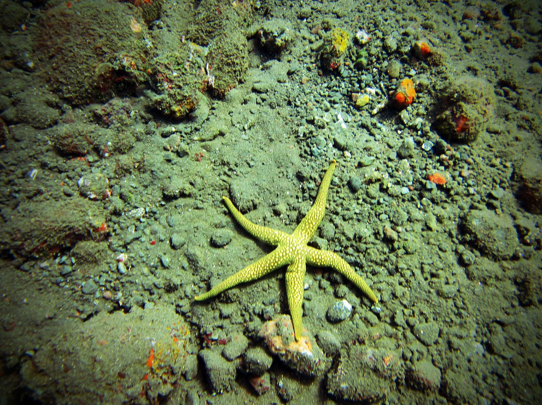 USS 自由号沉船-图兰本必去景点