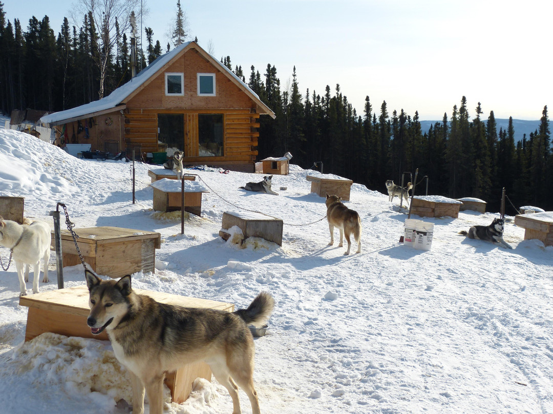 阿拉斯加第一户外旅行社-费尔班克斯必去景点