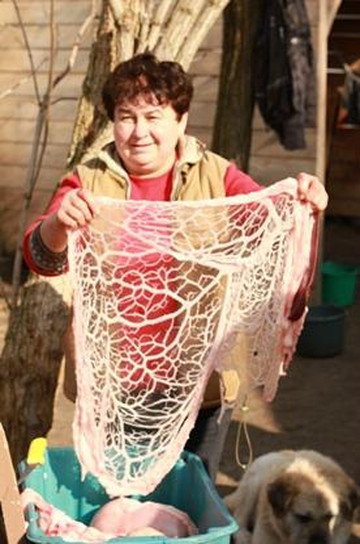 Rural Safari Hungary Day Tour-布达佩斯必去景点