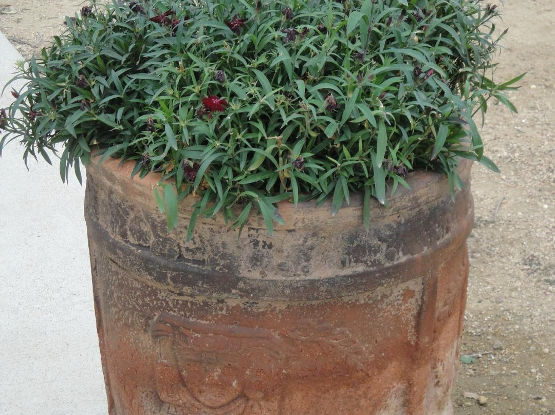 Bella Vista Ranch-Wimberley必去景点