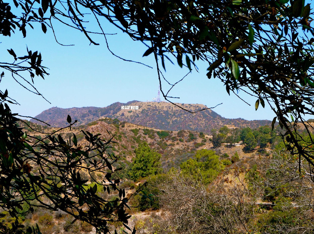 格里菲斯公园-洛杉矶必去景点
