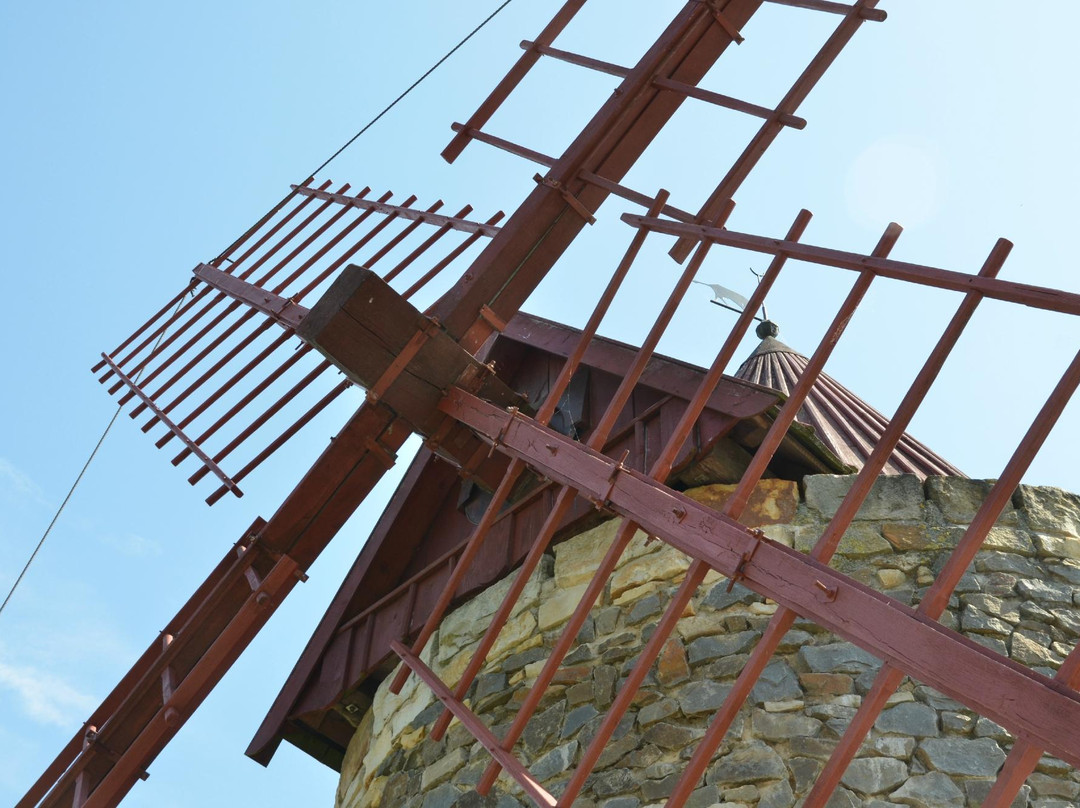 Internationales Wind- und Wassermuehlen-Museum-Gifhorn必去景点