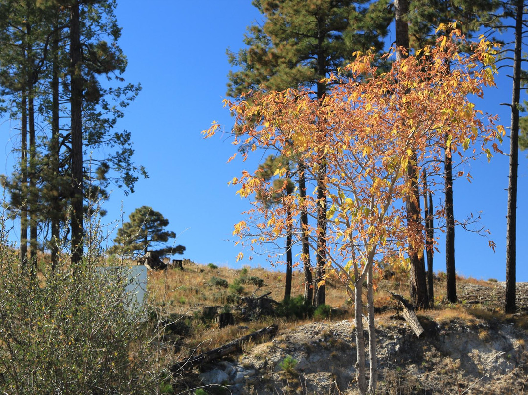 Mt. Lemmon Scenic Byway-图森必去景点
