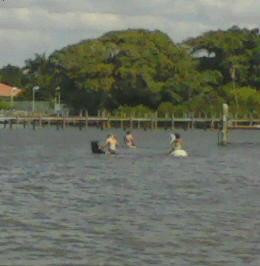 Sandy Hooves Horse Adventures-布雷登顿必去景点