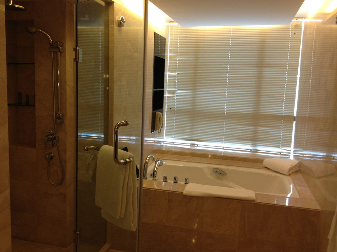 合肥元一希尔顿酒店主图