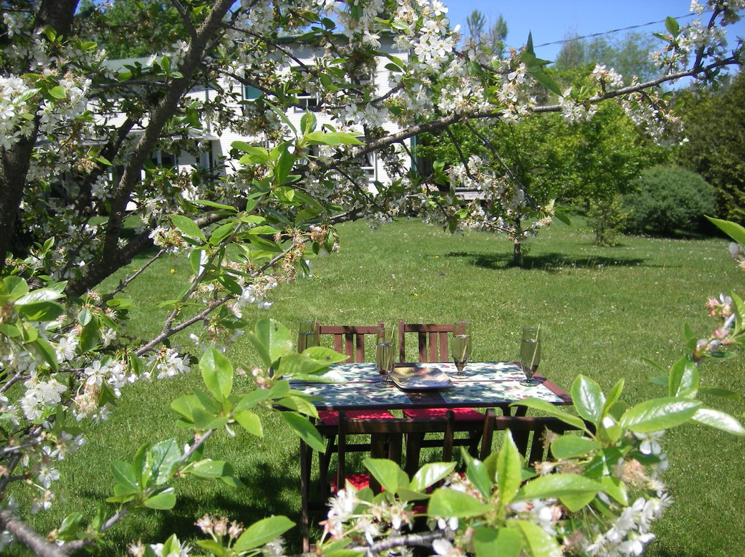 La Taniere Gite B&B主图