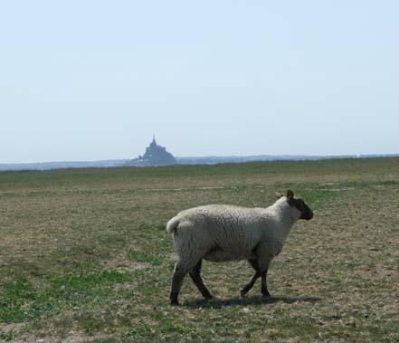 Saint-Quentin-sur-le-Homme酒店住宿-Chambres d'hotes Les Vallées
