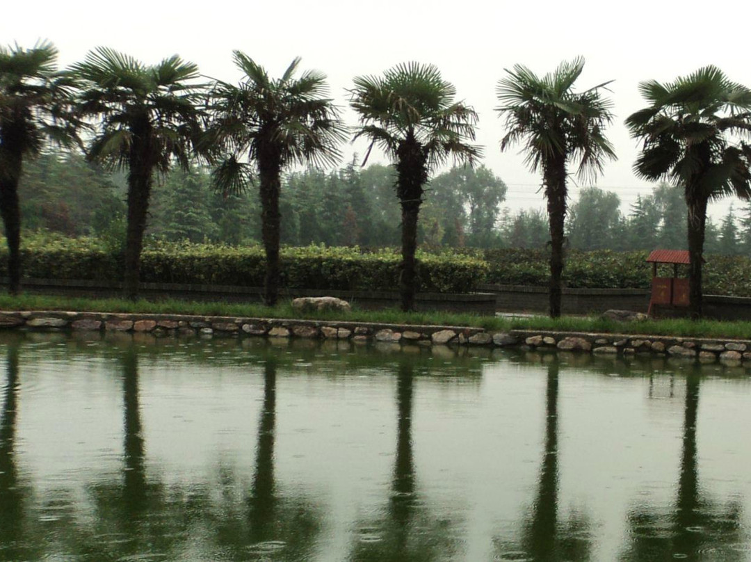 洛阳国际牡丹园-洛阳市必去景点