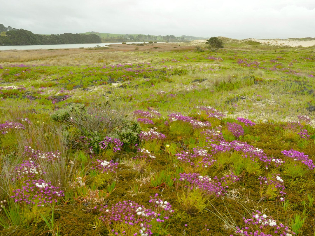 The Stonehouse主图