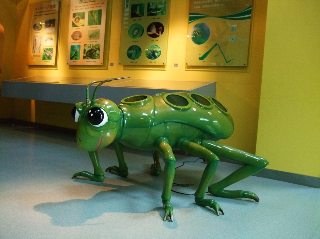 杨凌昆虫博物馆-咸阳市必去景点