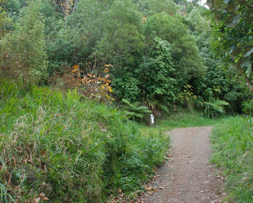 Tinakori Hill-惠灵顿必去景点
