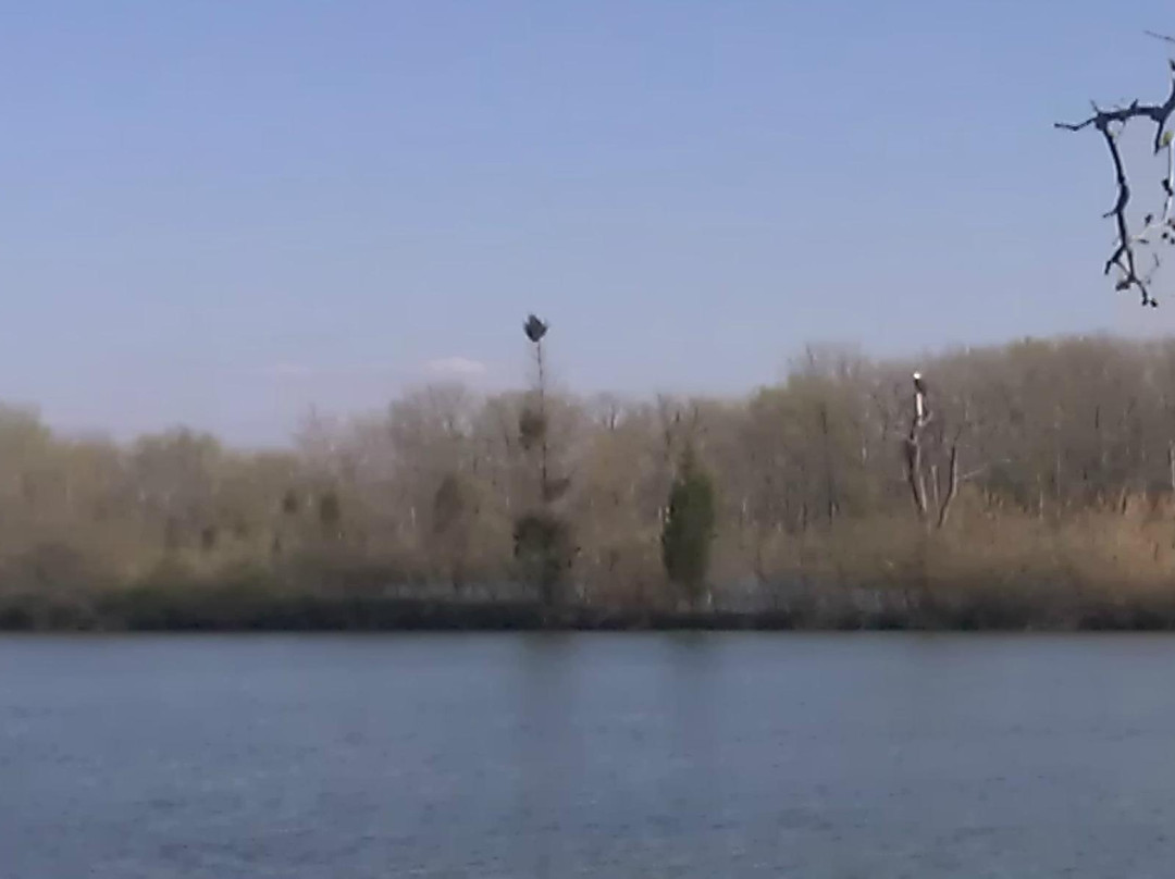 Resthaven Wildlife Area-Castalia必去景点