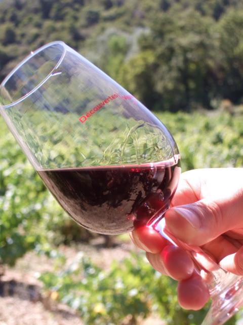 Decouvertes Vigneronnes-Gigondas必去景点