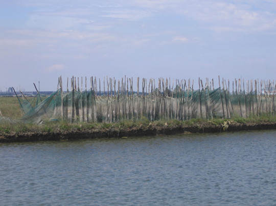 Il Bragozzo - Local boats in Venice-威尼斯必去景点