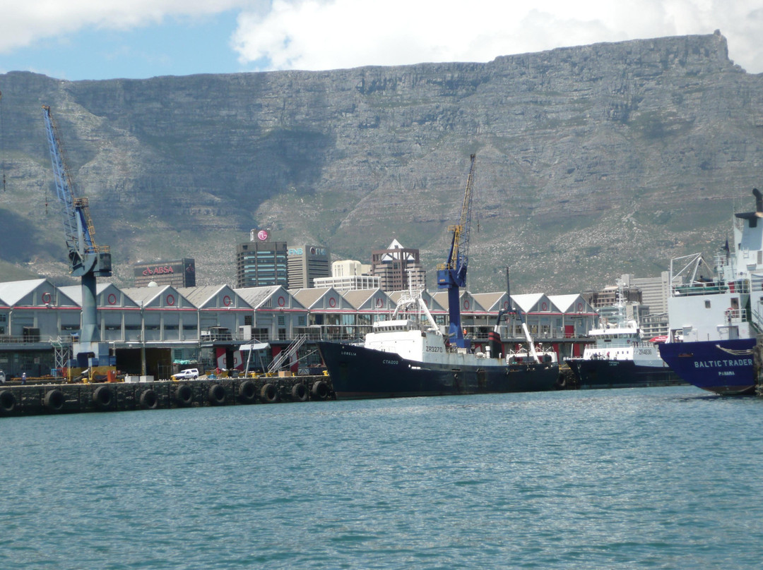 Steamboat Vicky-开普敦中心区必去景点