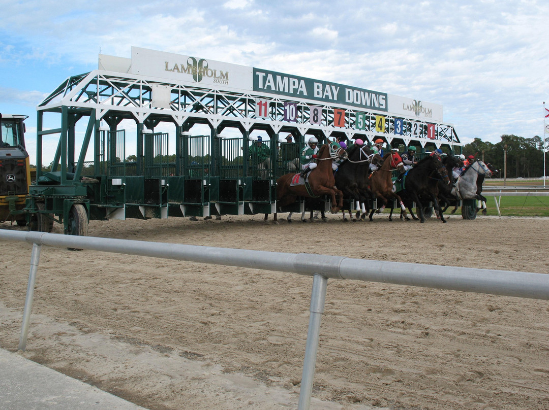 Tampa Bay Downs-坦帕必去景点